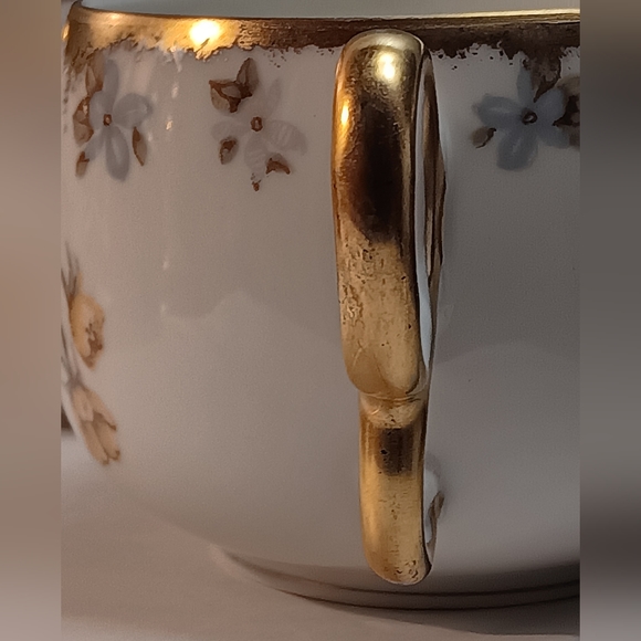 Limoges France BAWO & DOTTER Cup and Saucer - Picture 12 of 14